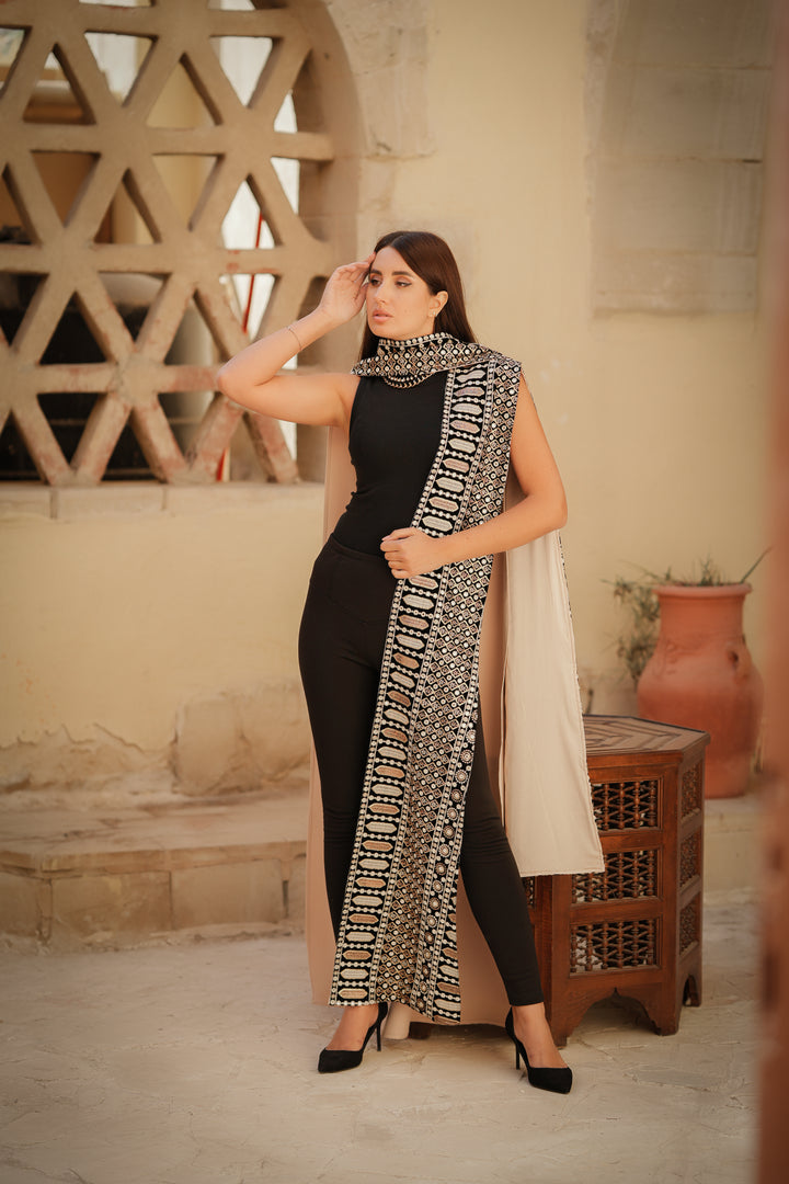 indian velvet Embroidery